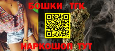 мдпв Протвино