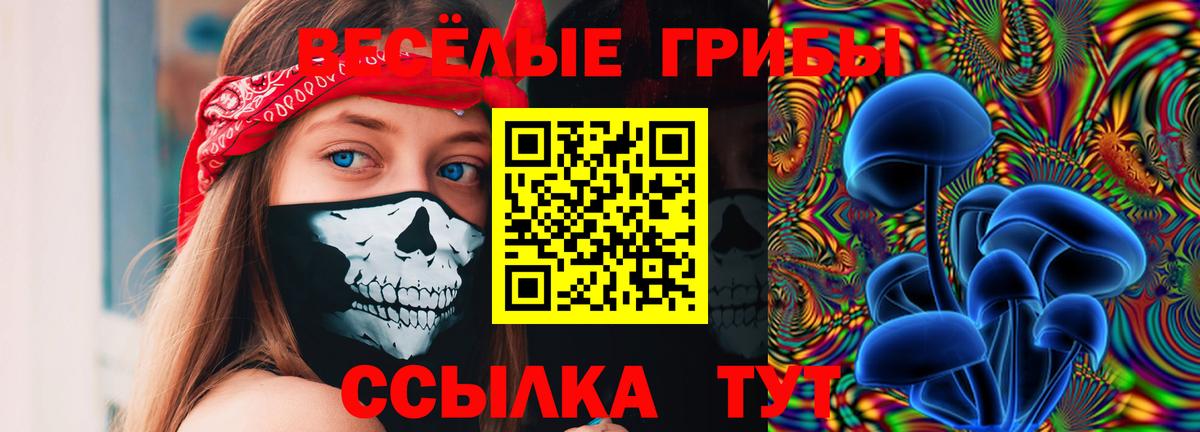 Галлюциногенные грибы прущие грибы  Вход с VPN  Псилоцибиновые грибы Cubensis  Гудермес 
